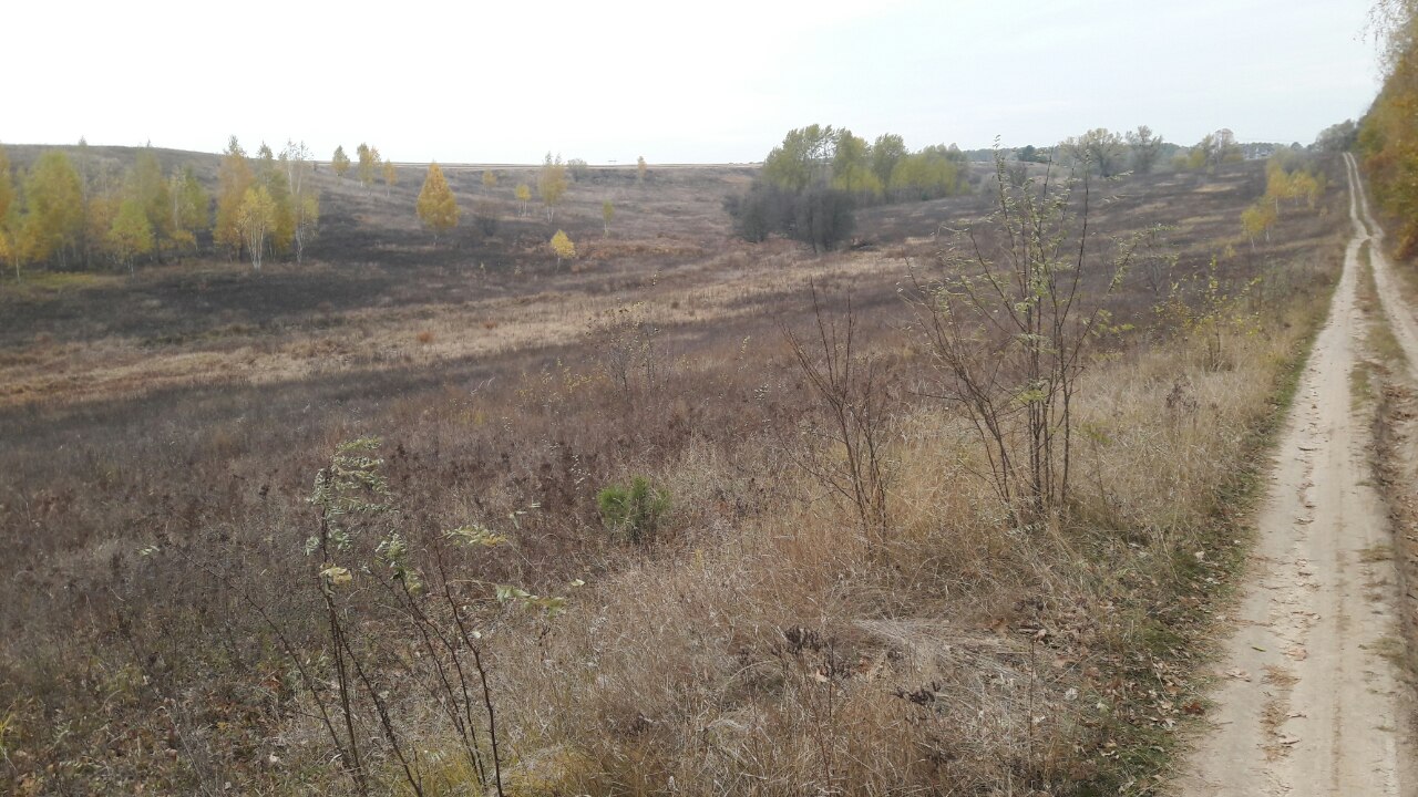  Земельна ділянка Київська обл., Обухівський р-н, с/рада Підгірцівська, садівницьке  товариство "Захист" пл.0,12га, кад. номер 3223186800:07:020:0168  та сейфи в кільк. 2 шт