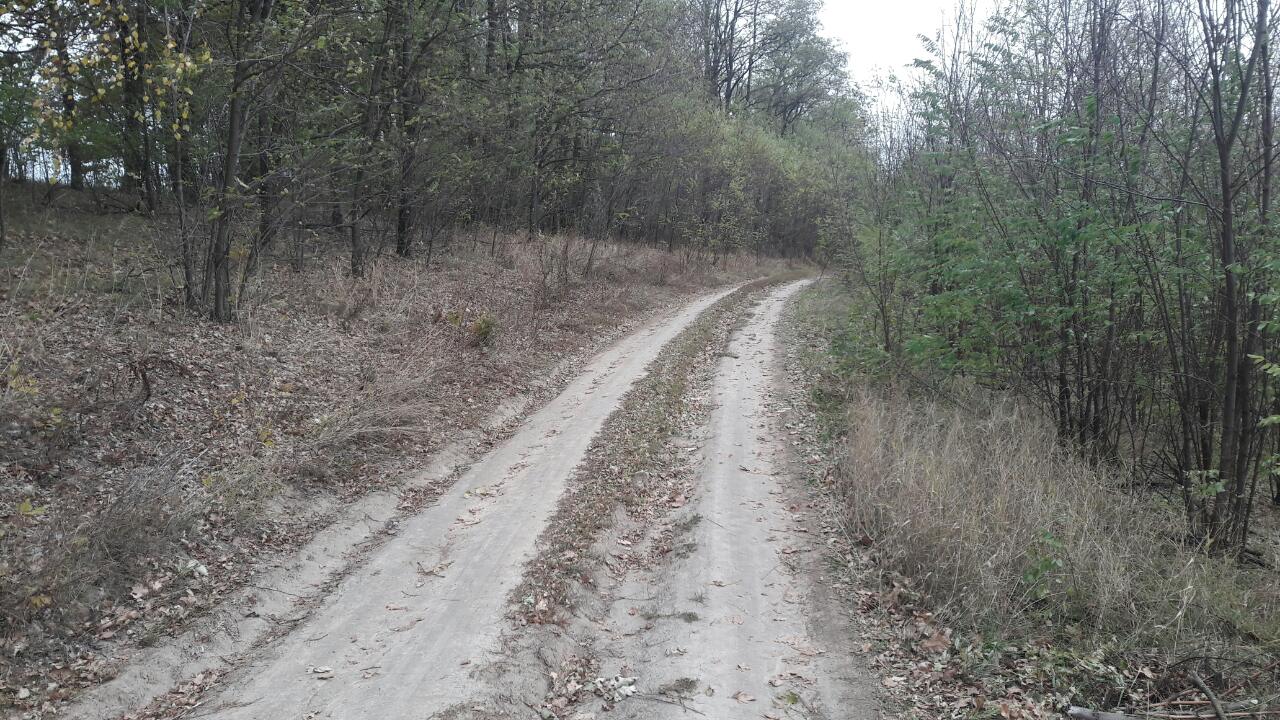 Земельна ділянка заг. площею 0,7501 га за  адресою: Київська обл., Києво-Святошинський р-н, с.Бобриця, земельна ділянка 116, 118, 120, кад.номер 3222480601:01:035:0004